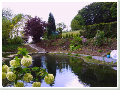 Fischteich am Haus