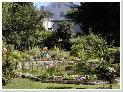 Gartenteich mit schöner Lage