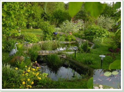 Teichanlage im Garten